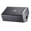 Caja Pasiva JBL VRX915M